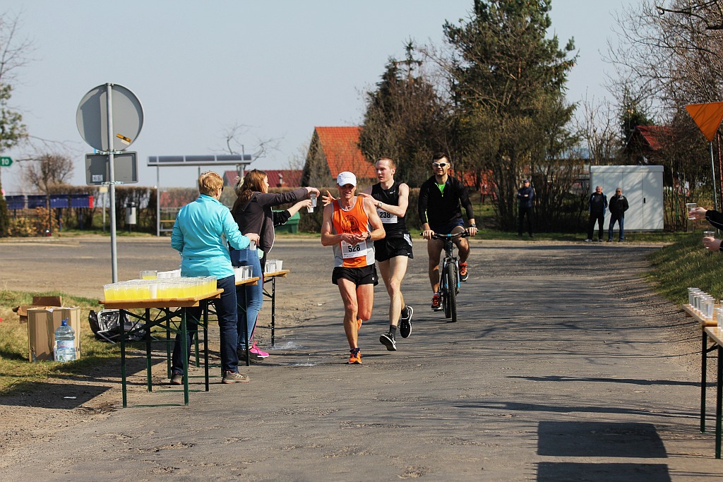 Półmaraton Bitwy pod Legnicą 1241. Legnica - Legnickie Pole cz3