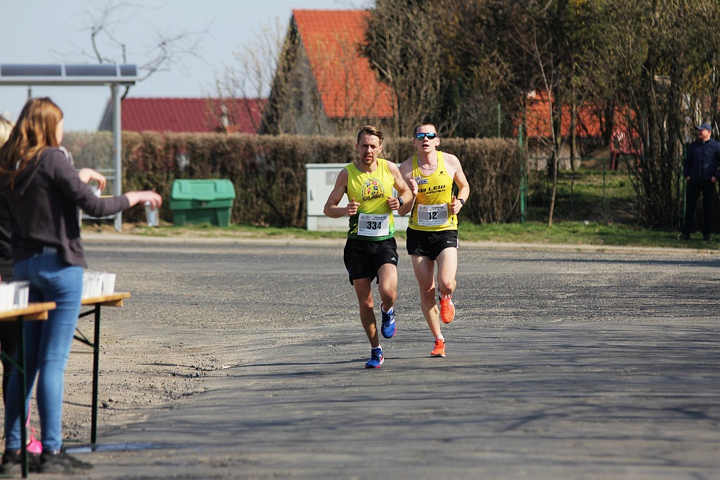 Półmaraton Bitwy pod Legnicą 1241. Legnica - Legnickie Pole cz3