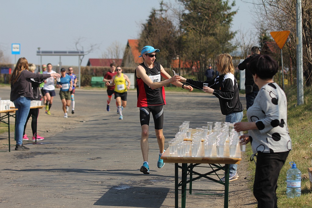 Półmaraton Bitwy pod Legnicą 1241. Legnica - Legnickie Pole cz3