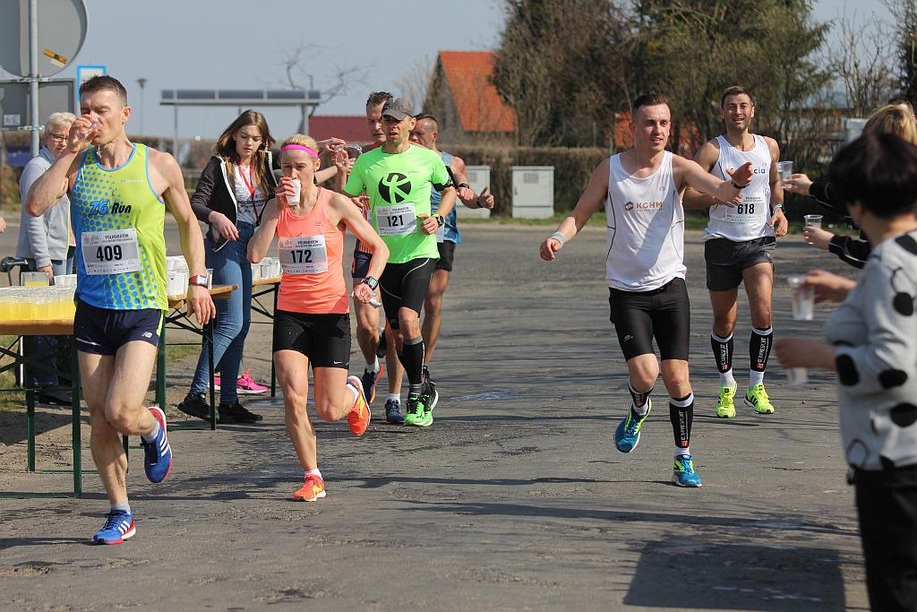 Półmaraton Bitwy pod Legnicą 1241. Legnica - Legnickie Pole cz3