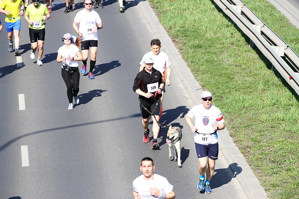 Półmaraton Bitwy pod Legnicą - zdjęcia z 11, 17, 19 km biegu cz2