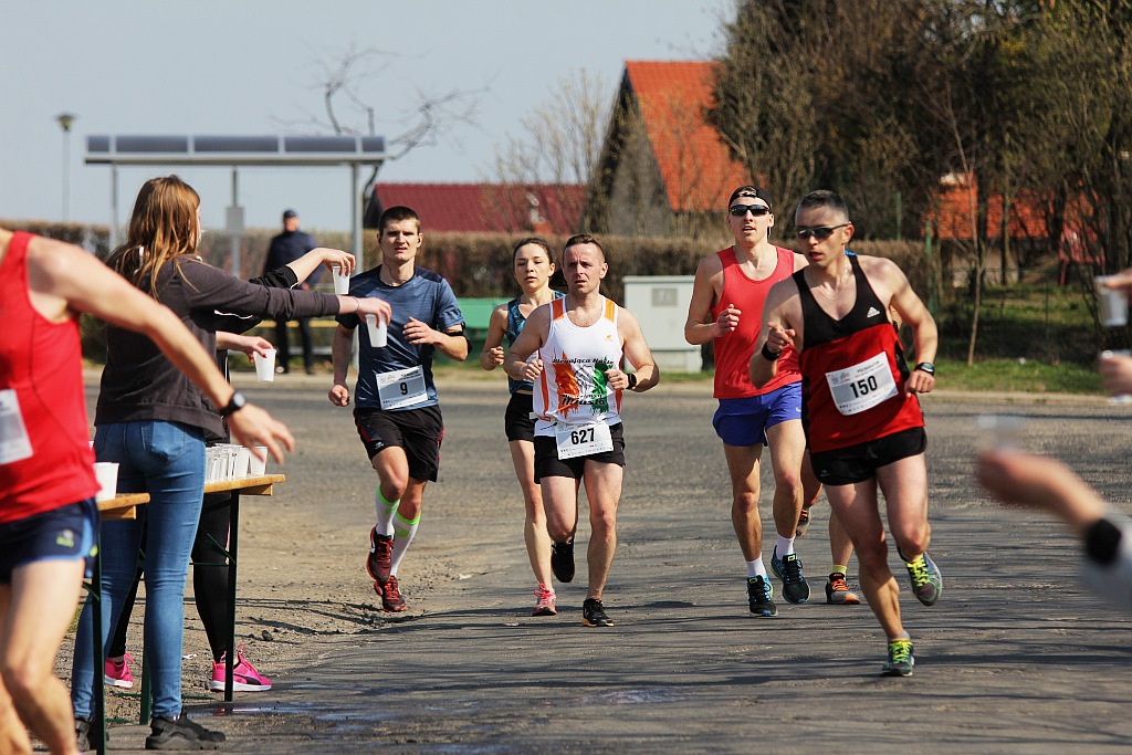 Półmaraton Bitwy pod Legnicą 1241. Legnica - Legnickie Pole cz3