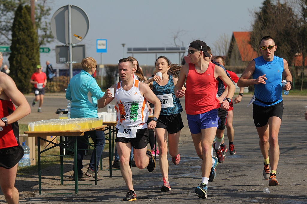 Półmaraton Bitwy pod Legnicą 1241. Legnica - Legnickie Pole cz3