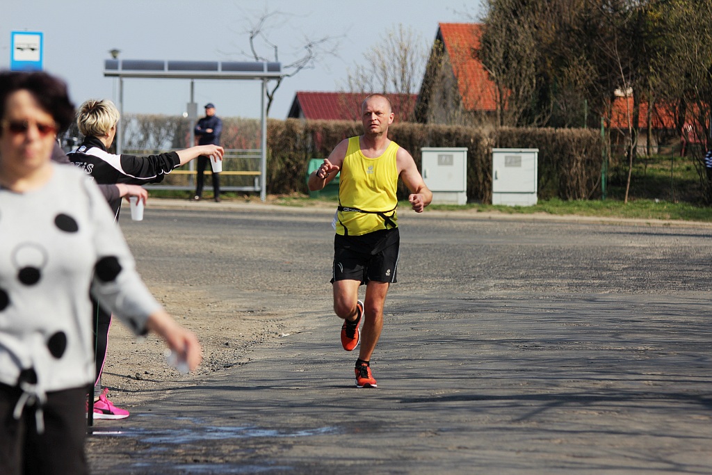 Półmaraton Bitwy pod Legnicą 1241. Legnica - Legnickie Pole cz3