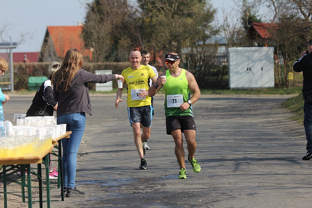 Półmaraton Bitwy pod Legnicą 1241. Legnica - Legnickie Pole cz3