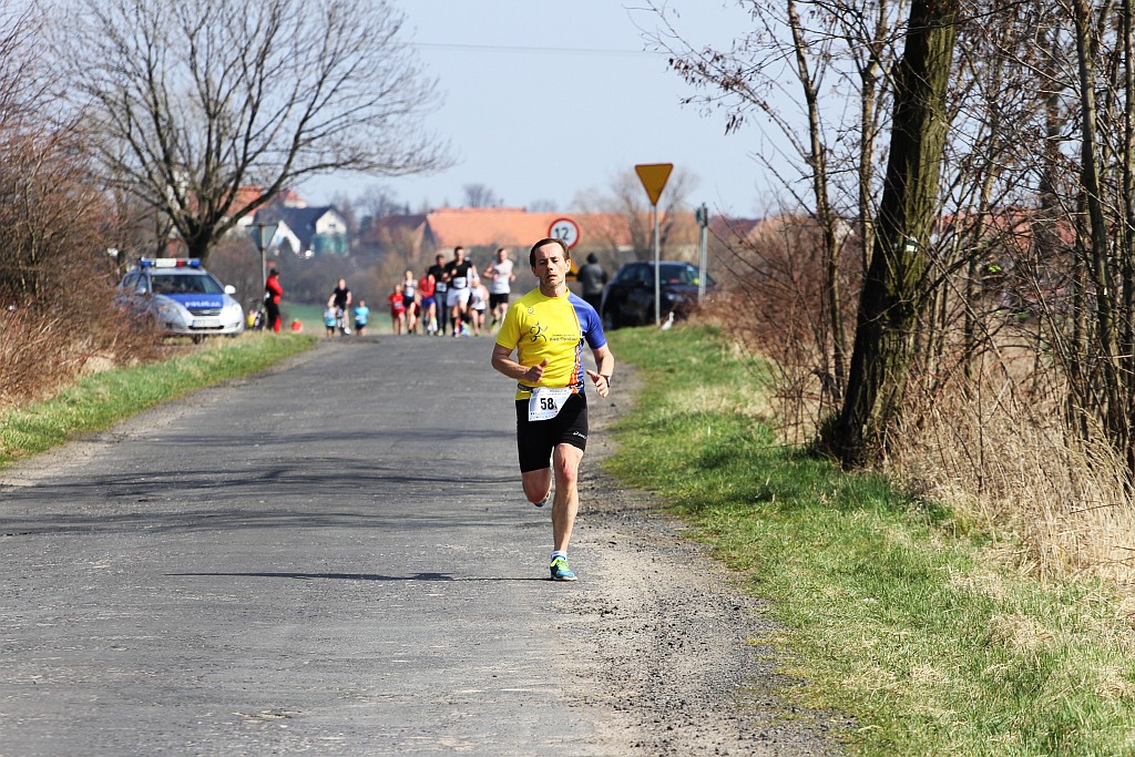 Półmaraton Bitwy pod Legnicą - zdjęcia z 11, 17, 19 km biegu cz2