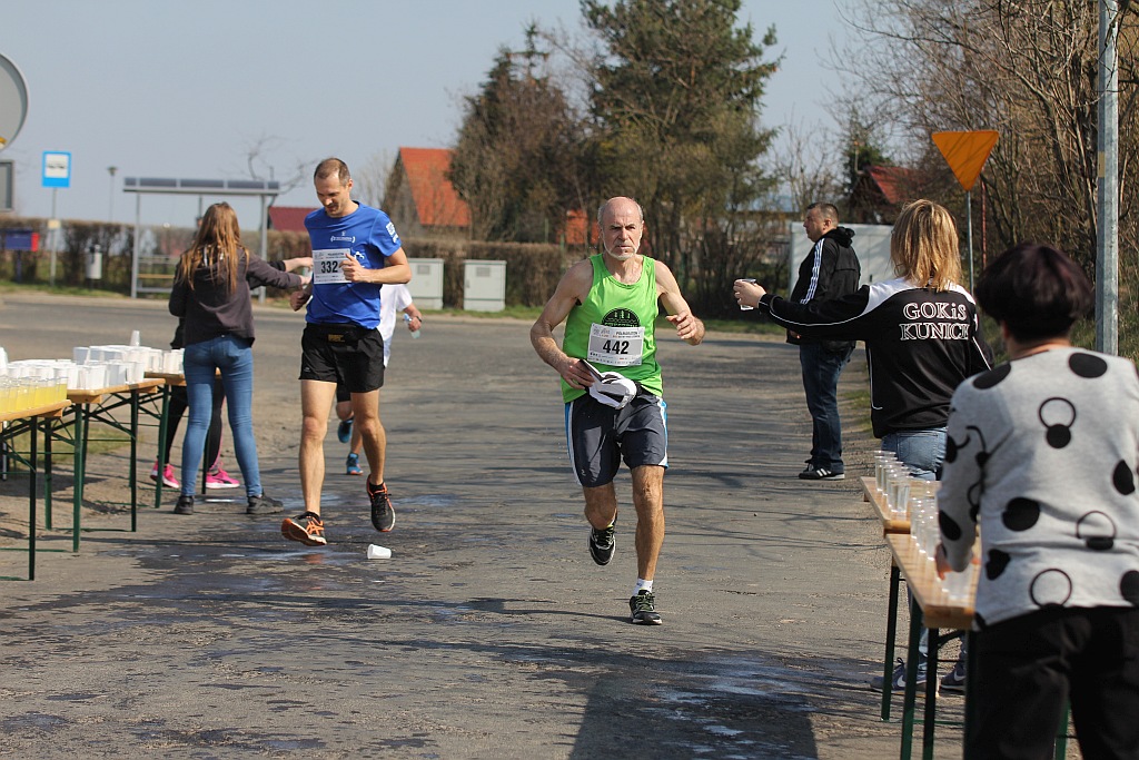 Półmaraton Bitwy pod Legnicą 1241. Legnica - Legnickie Pole cz3