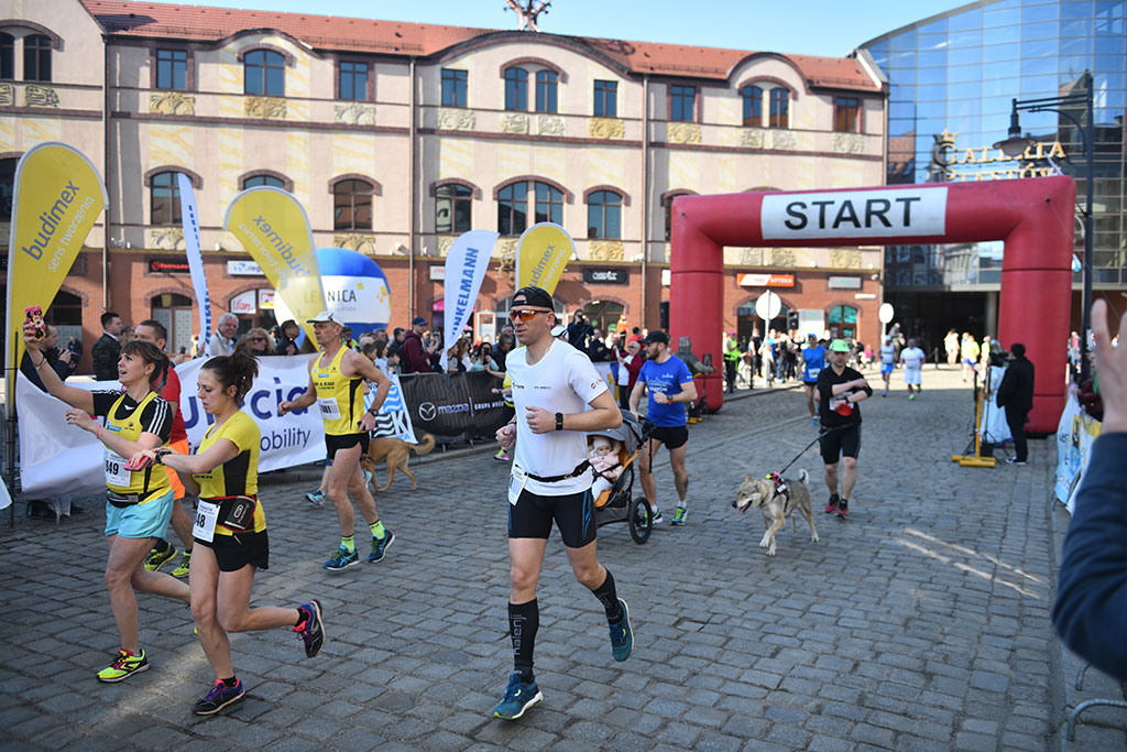 Półmaraton Bitwy pod Legnicą 1241. Legnica - Legnickie Pole cz1
