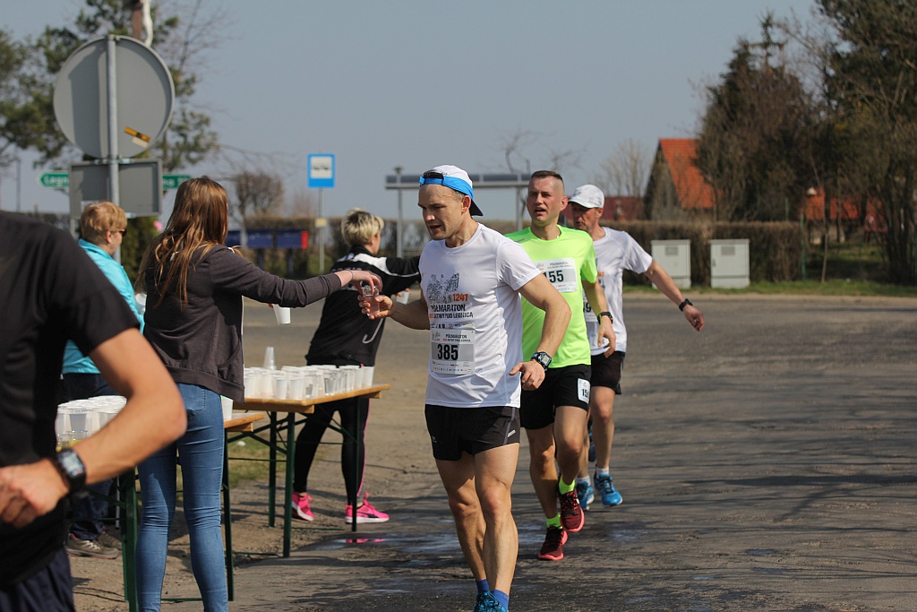 Półmaraton Bitwy pod Legnicą 1241. Legnica - Legnickie Pole cz3