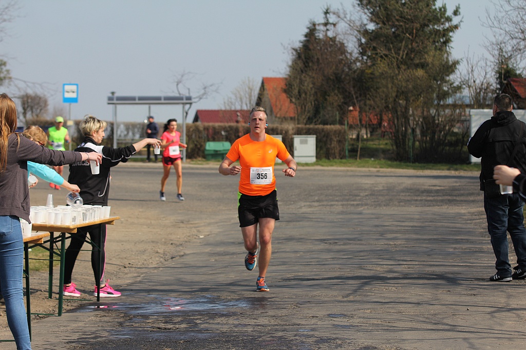 Półmaraton Bitwy pod Legnicą 1241. Legnica - Legnickie Pole cz3