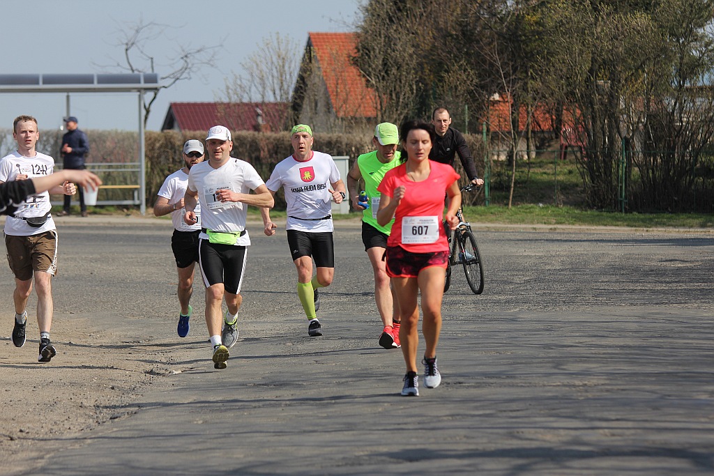 Półmaraton Bitwy pod Legnicą 1241. Legnica - Legnickie Pole cz3