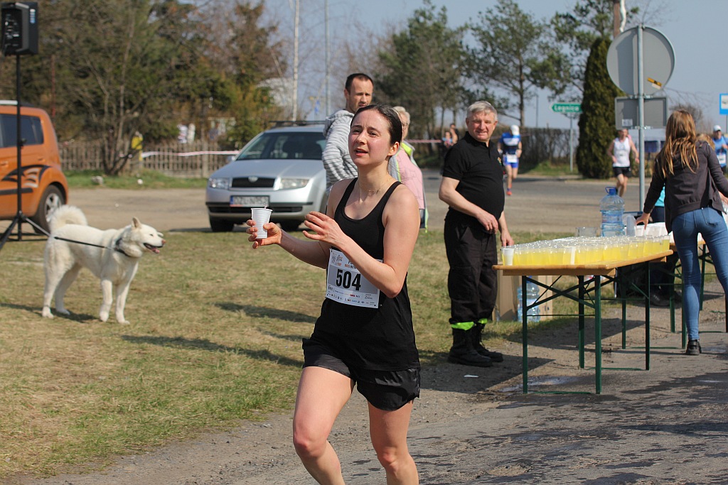 Półmaraton Bitwy pod Legnicą 1241. Legnica - Legnickie Pole cz3