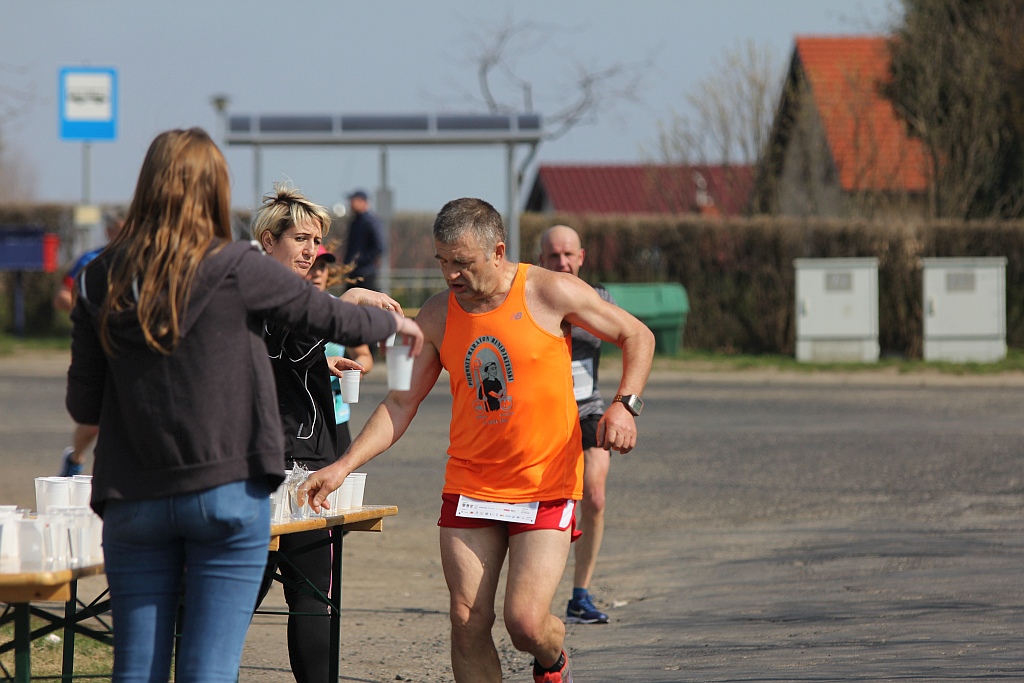 Półmaraton Bitwy pod Legnicą 1241. Legnica - Legnickie Pole cz3