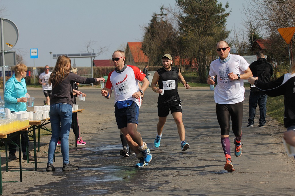 Półmaraton Bitwy pod Legnicą 1241. Legnica - Legnickie Pole cz3