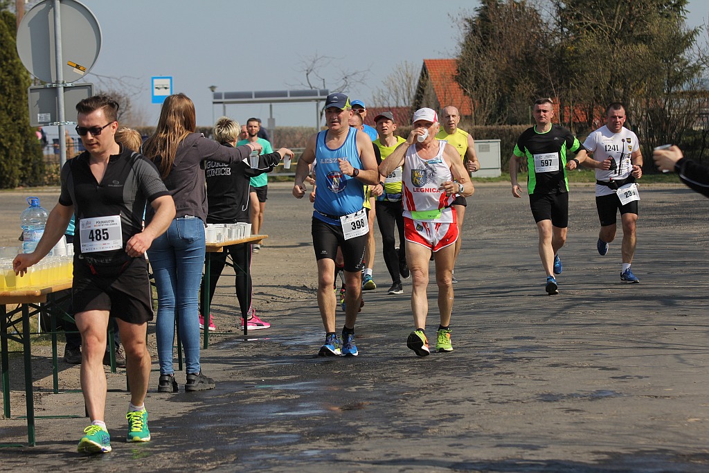 Półmaraton Bitwy pod Legnicą 1241. Legnica - Legnickie Pole cz3