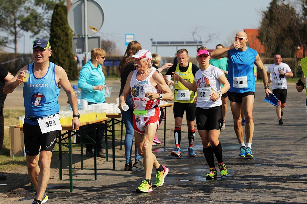 Półmaraton Bitwy pod Legnicą 1241. Legnica - Legnickie Pole cz3