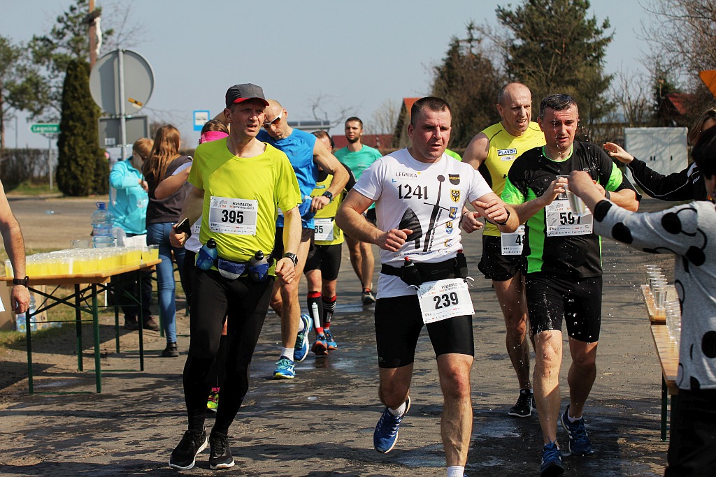 Półmaraton Bitwy pod Legnicą 1241. Legnica - Legnickie Pole cz3
