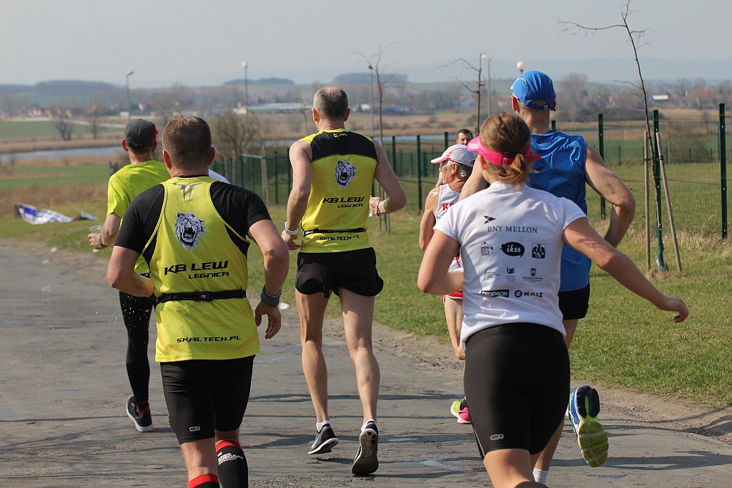 Półmaraton Bitwy pod Legnicą 1241. Legnica - Legnickie Pole cz3