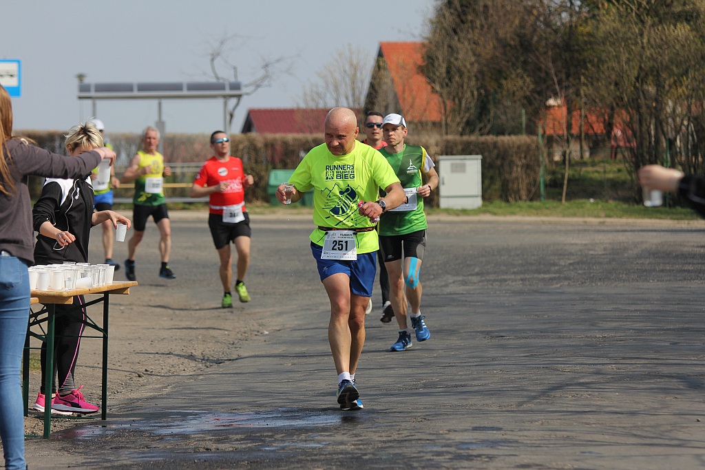 Półmaraton Bitwy pod Legnicą 1241. Legnica - Legnickie Pole cz3