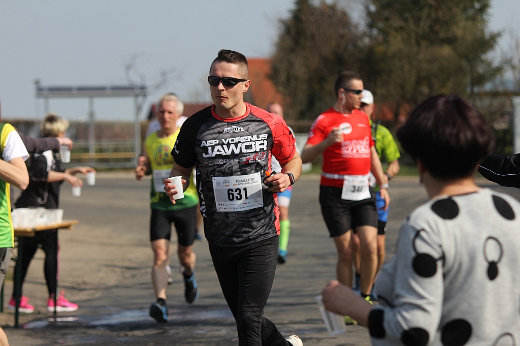 Półmaraton Bitwy pod Legnicą 1241. Legnica - Legnickie Pole cz3