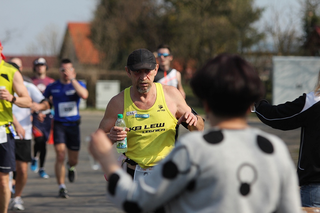 Półmaraton Bitwy pod Legnicą 1241. Legnica - Legnickie Pole cz3