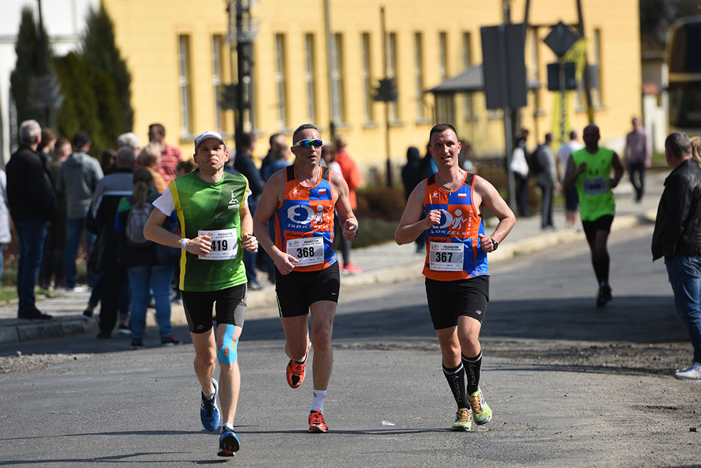 Półmaraton Bitwy pod Legnicą 1241. Legnica - Legnickie Pole cz1