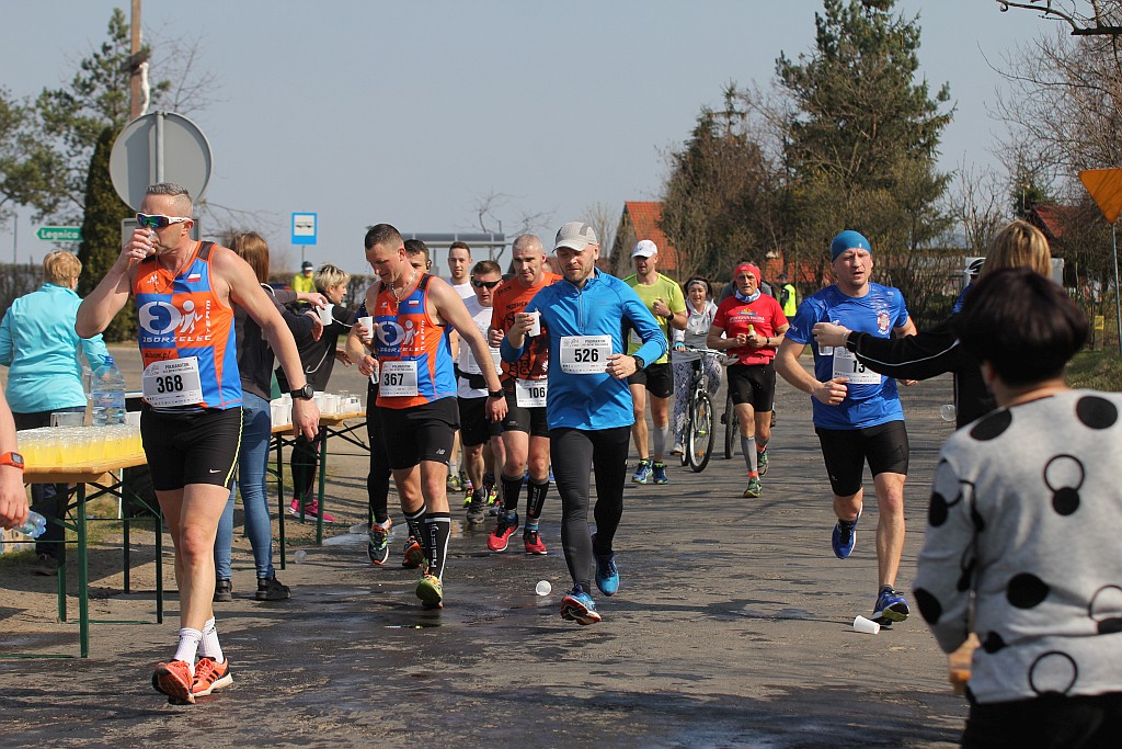Półmaraton Bitwy pod Legnicą 1241. Legnica - Legnickie Pole cz3