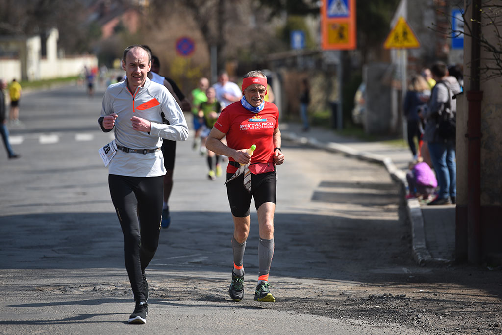 Półmaraton Bitwy pod Legnicą 1241. Legnica - Legnickie Pole cz1