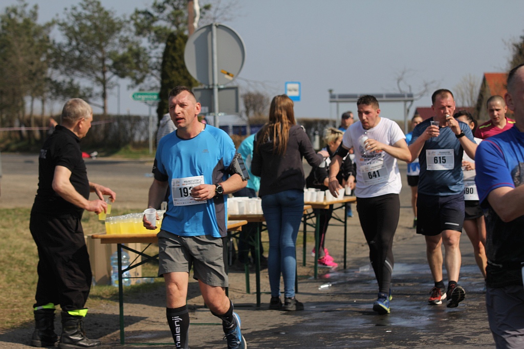 Półmaraton Bitwy pod Legnicą 1241. Legnica - Legnickie Pole cz3