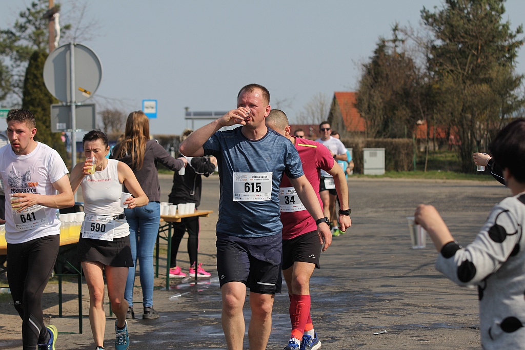 Półmaraton Bitwy pod Legnicą 1241. Legnica - Legnickie Pole cz3