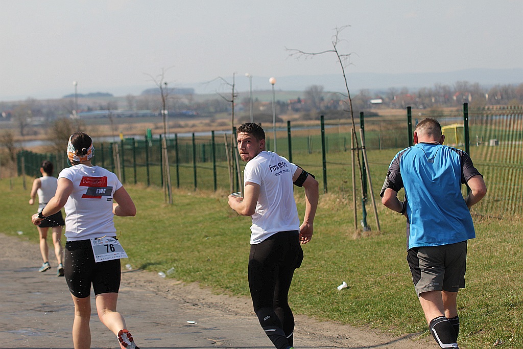 Półmaraton Bitwy pod Legnicą 1241. Legnica - Legnickie Pole cz3