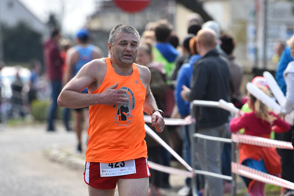 Półmaraton Bitwy pod Legnicą 1241. Legnica - Legnickie Pole cz1