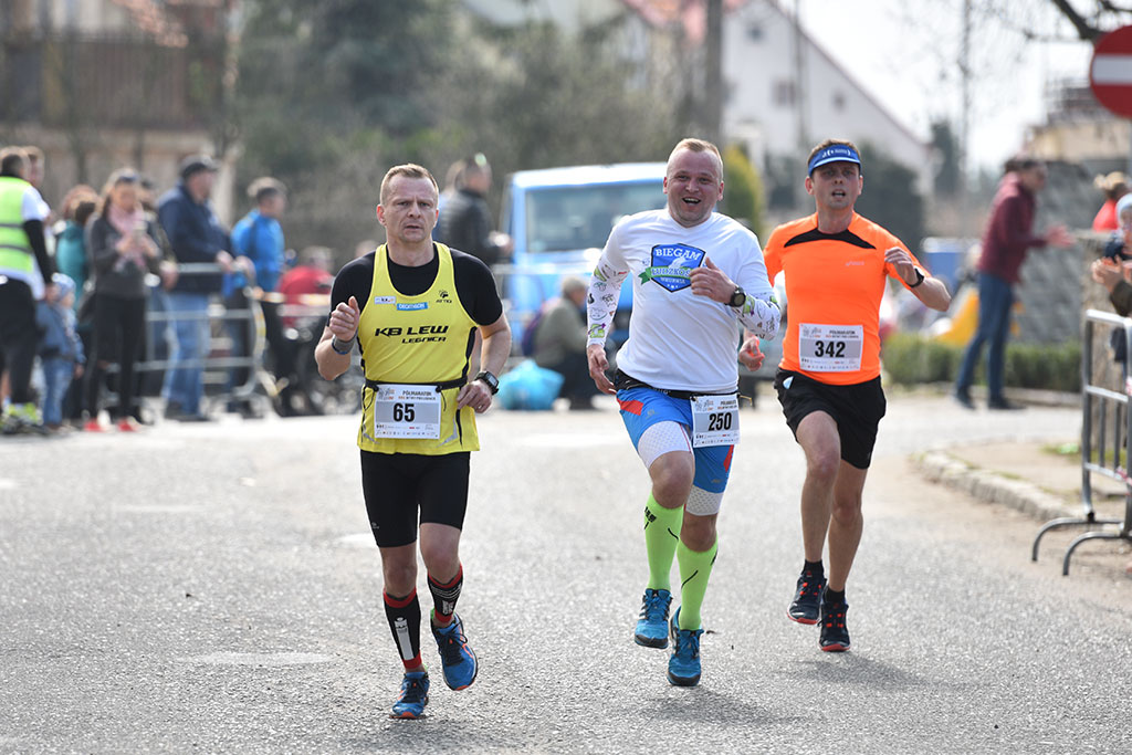 Półmaraton Bitwy pod Legnicą 1241. Legnica - Legnickie Pole cz1