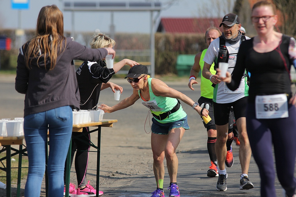 Półmaraton Bitwy pod Legnicą 1241. Legnica - Legnickie Pole cz3