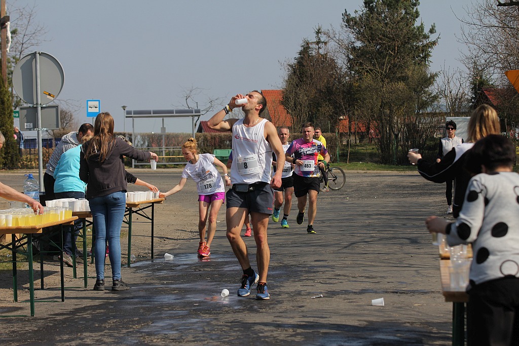 Półmaraton Bitwy pod Legnicą 1241. Legnica - Legnickie Pole cz3
