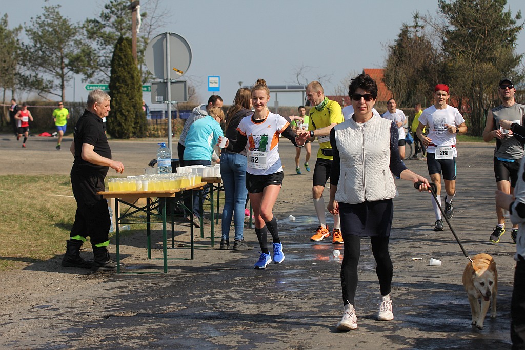 Półmaraton Bitwy pod Legnicą 1241. Legnica - Legnickie Pole cz3