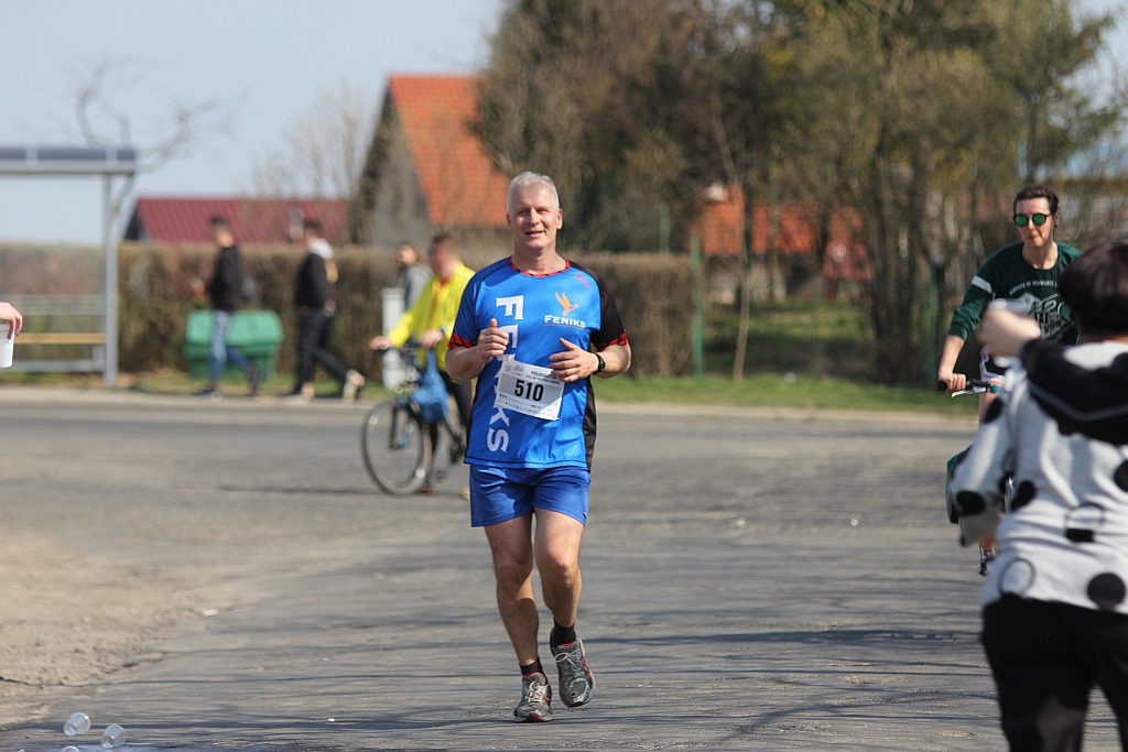 Półmaraton Bitwy pod Legnicą 1241. Legnica - Legnickie Pole cz3