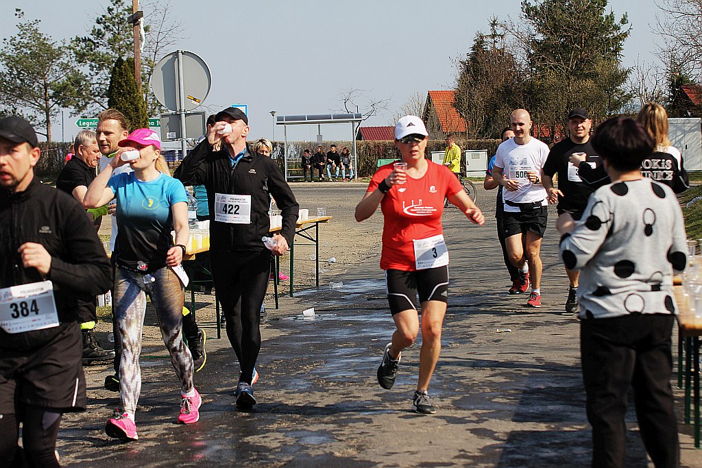 Półmaraton Bitwy pod Legnicą 1241. Legnica - Legnickie Pole cz3