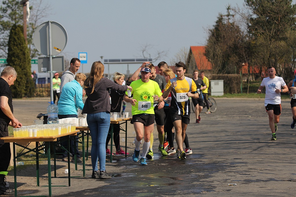 Półmaraton Bitwy pod Legnicą 1241. Legnica - Legnickie Pole cz3