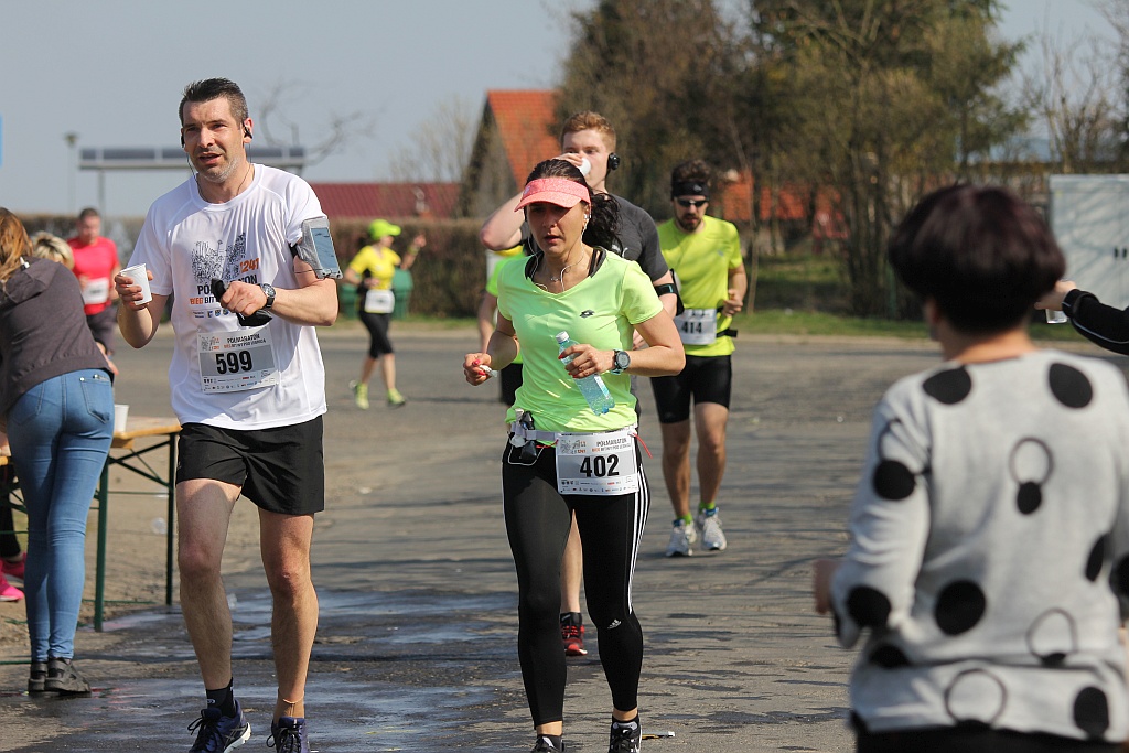 Półmaraton Bitwy pod Legnicą 1241. Legnica - Legnickie Pole cz3