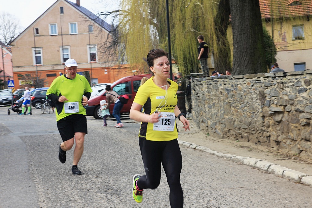 Półmaraton Bitwy pod Legnicą 1241. Legnica - Legnickie Pole cz1