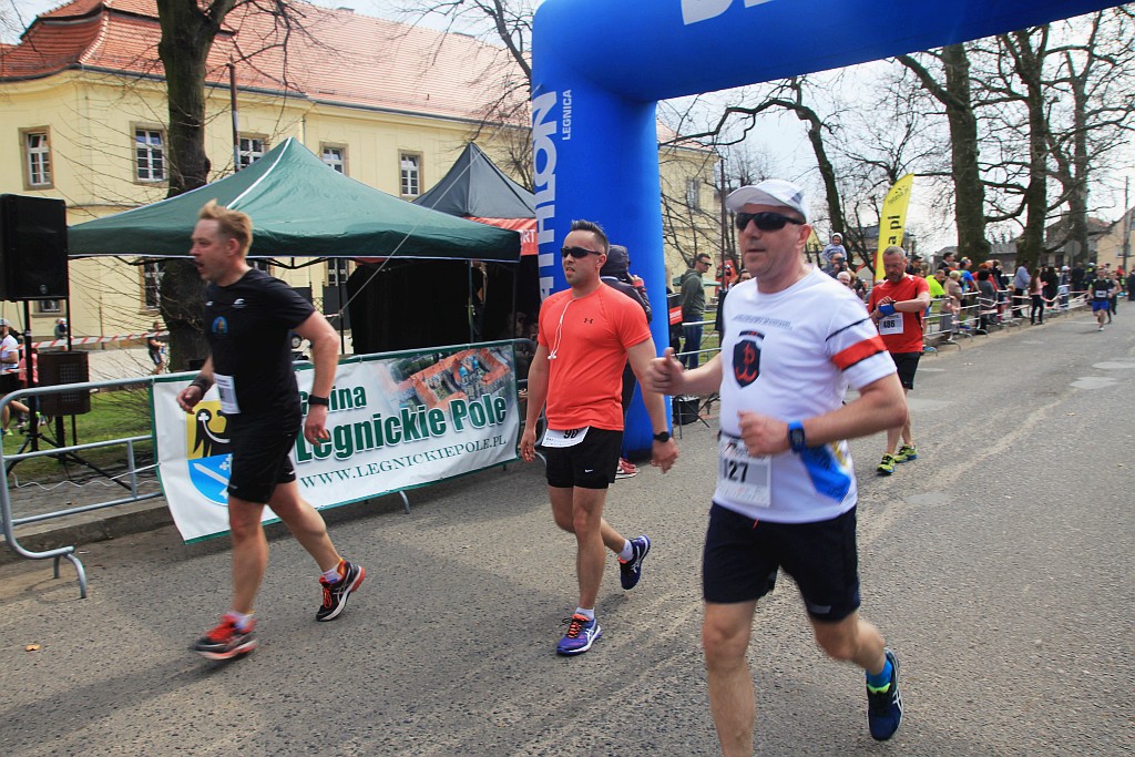 Półmaraton Bitwy pod Legnicą 1241. Legnica - Legnickie Pole cz1