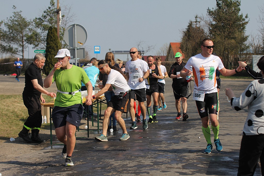 Półmaraton Bitwy pod Legnicą 1241. Legnica - Legnickie Pole cz3