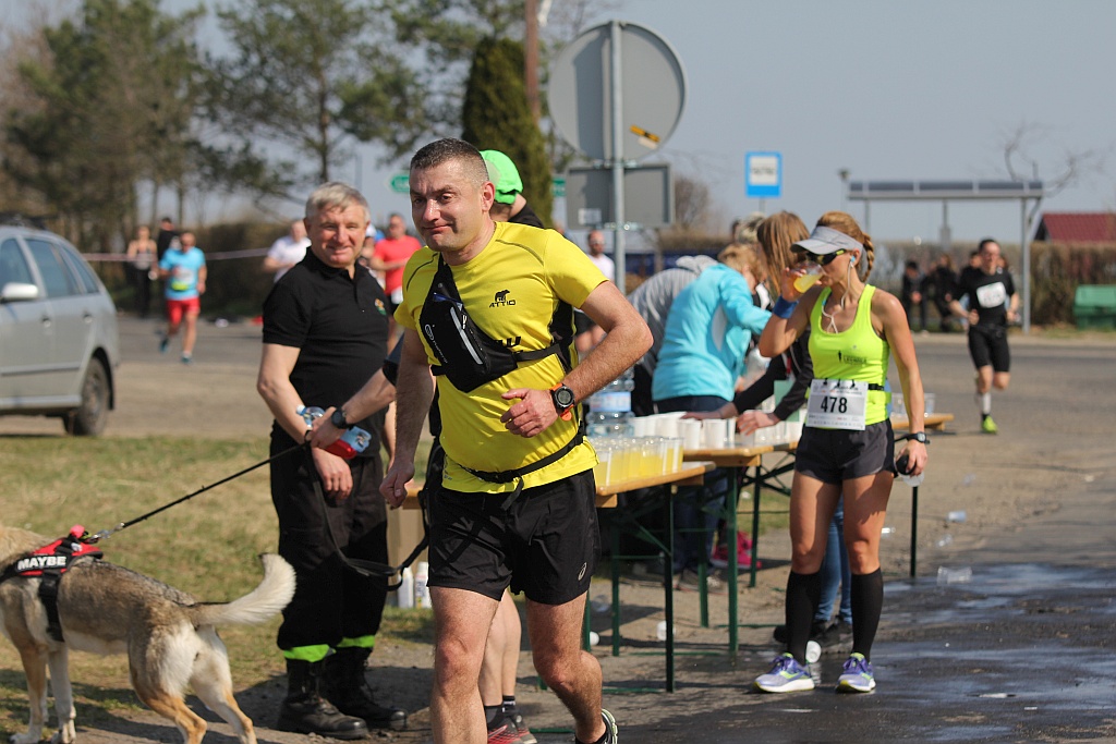 Półmaraton Bitwy pod Legnicą 1241. Legnica - Legnickie Pole cz3