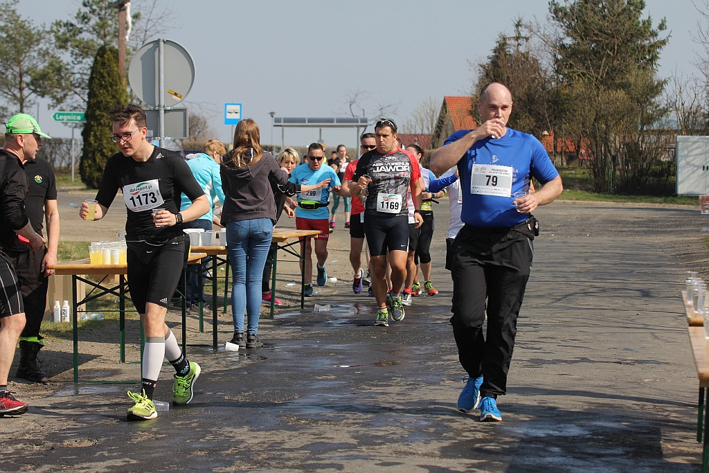 Półmaraton Bitwy pod Legnicą 1241. Legnica - Legnickie Pole cz3