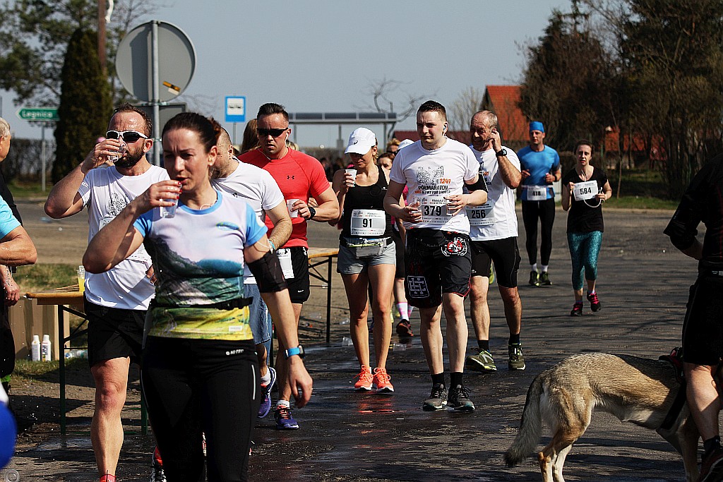 Półmaraton Bitwy pod Legnicą 1241. Legnica - Legnickie Pole cz3