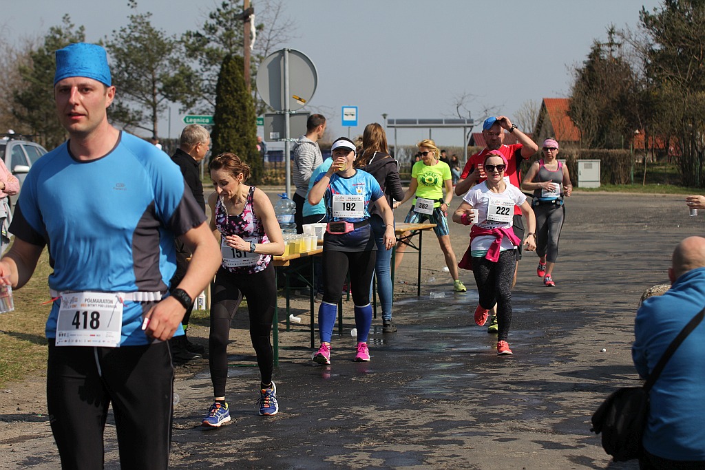 Półmaraton Bitwy pod Legnicą 1241. Legnica - Legnickie Pole cz3