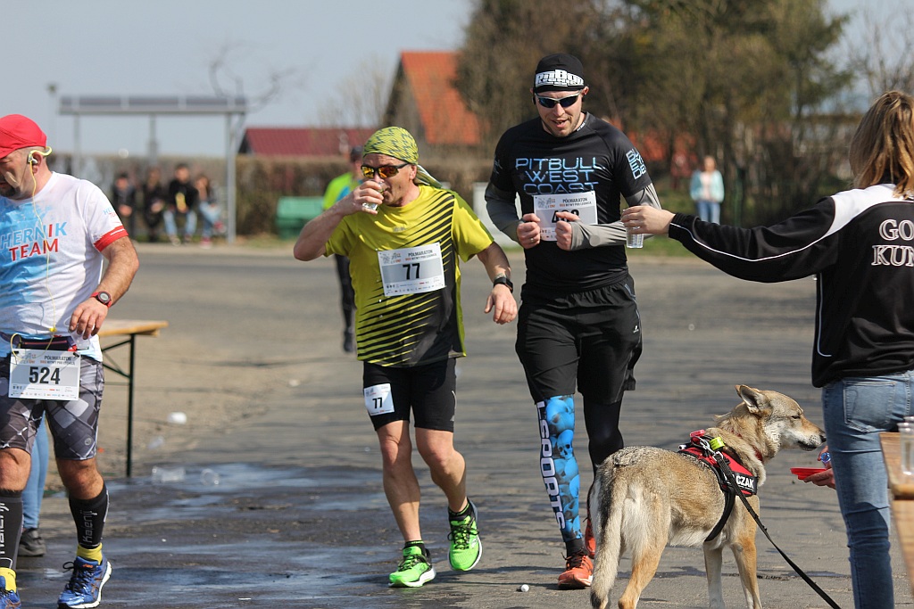 Półmaraton Bitwy pod Legnicą 1241. Legnica - Legnickie Pole cz3
