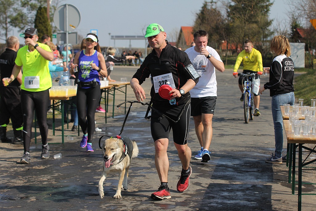 Półmaraton Bitwy pod Legnicą 1241. Legnica - Legnickie Pole cz3