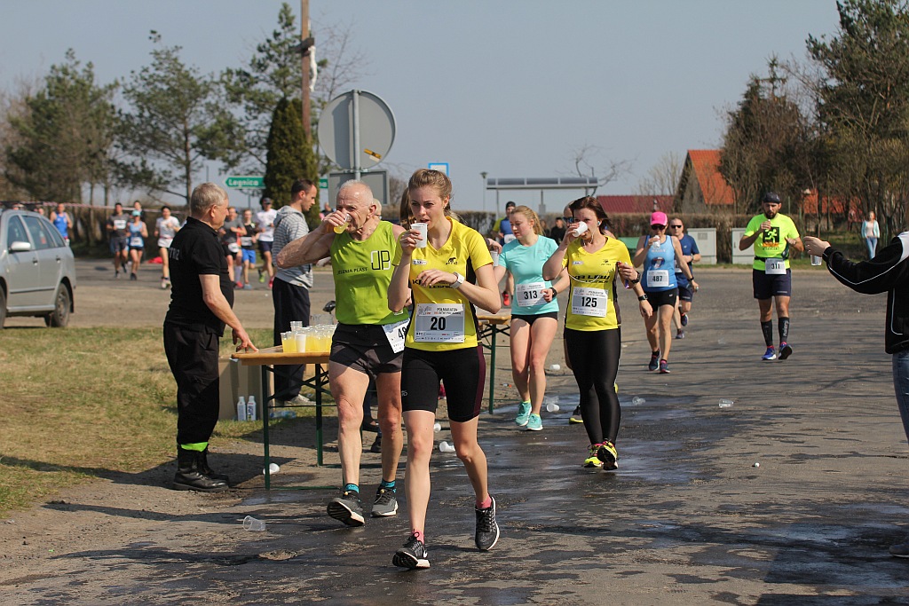Półmaraton Bitwy pod Legnicą 1241. Legnica - Legnickie Pole cz3